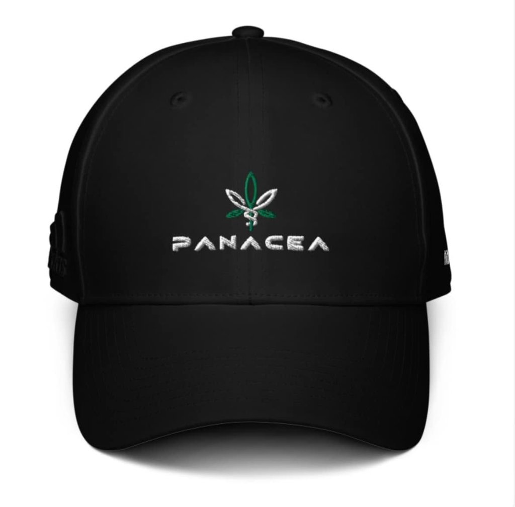 Classic Dad Hat